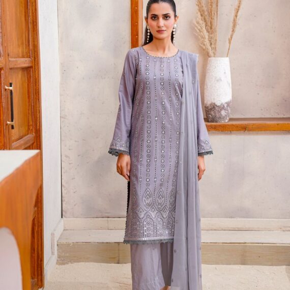 Meena Kari Banarsi Pure Silk Suit